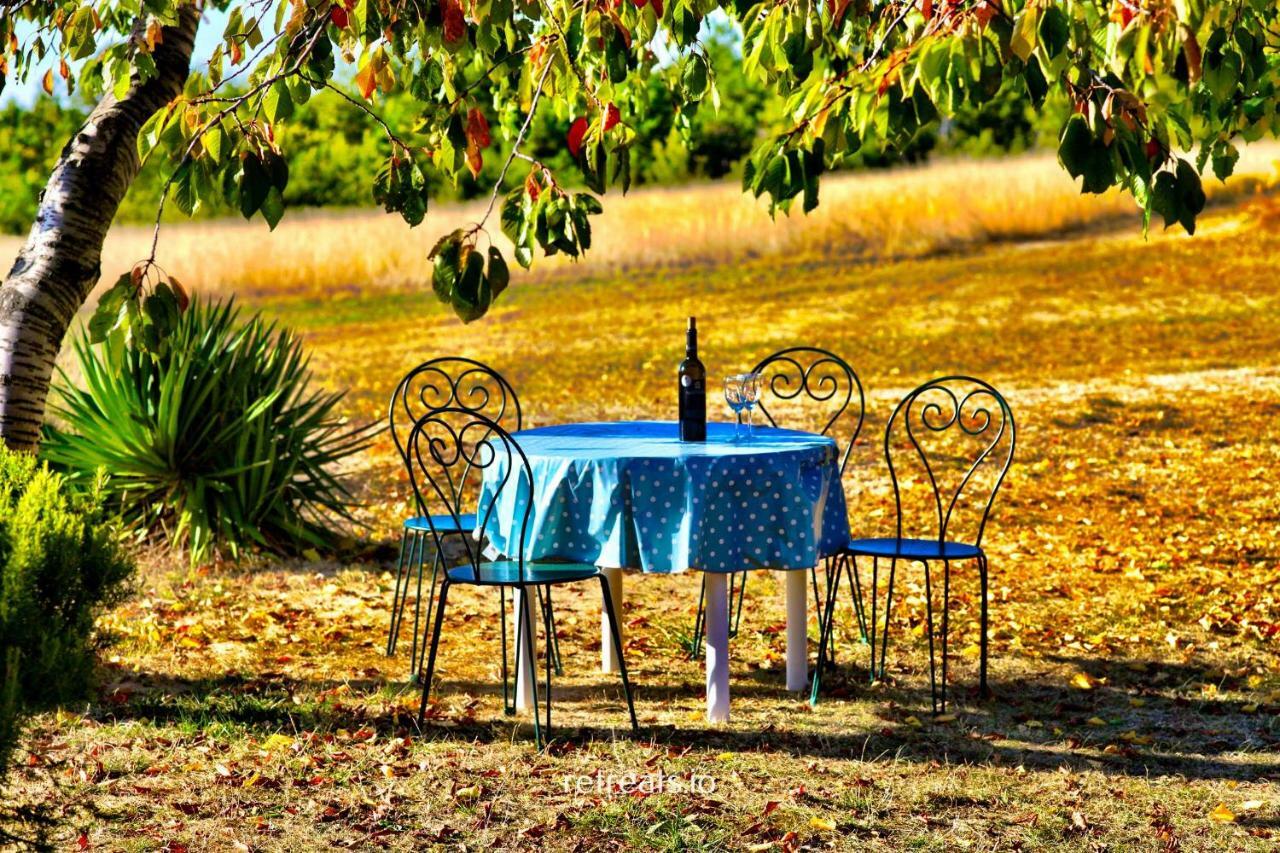 Villa La Colle En Provence Main House Sigonce Esterno foto